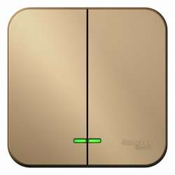 SE Blanca наруж Титан Выключатель 2-клавишный , 10А, 250B арт. BLNVA105004