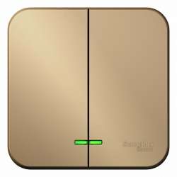 SE Blanca наруж Титан Выключатель 2-клавишный с подсветкой, 10А, 250B арт. BLNVA105104