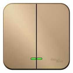 SE Blanca наруж Титан Выключатель 2-клавишный с подсветкой 10А,250B, изолир. пластина арт. BLNVA105114