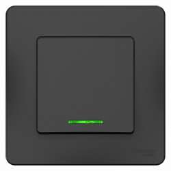 SE Blanca внутр Антрацит Переключатель 1-клавишный с подсветкой, 10А, 250B арт. BLNVS010616