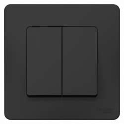 SE Blanca внутр Антрацит Переключатель 2-клавишный, 10А, 250B арт. BLNVS106606