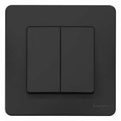 SE Blanca внутр Антрацит Выключатель 2-клавишный, 10А, 250B арт. BLNVS010506