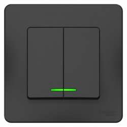 SE Blanca внутр Антрацит Выключатель 2-клавишный с подсветкой, 10А, 250B арт. BLNVS010516