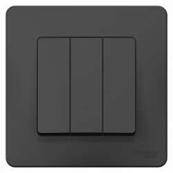 SE Blanca внутр Антрацит Выключатель 3-клавишный, 10А, 250B арт. BLNVS100506