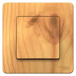 SE Blanca внутр Ясень Переключатель 1-клавишный, 10А, 250B арт. BLNVS010605