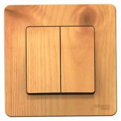 SE Blanca внутр Ясень Выключатель 2-клавишный, 10А, 250B арт. BLNVS010505