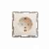 SE Дуэт Беж Розетка с/з с защитными шторками арт. WDE000245