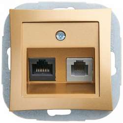 SE Дуэт Шампань Розетка 2-ая ТЛФ + компьютерная кат.5E (RJ11+RJ45) арт. WDE000485