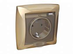 SE Дуэт Шампань Розетка с/з с защитными шторками с крышкой IP20, в сборе с рамкой арт. WDE000446