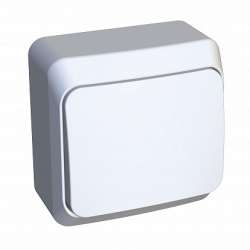 SE Этюд наруж Бел Переключатель 1-клавишный арт. BA10-004B