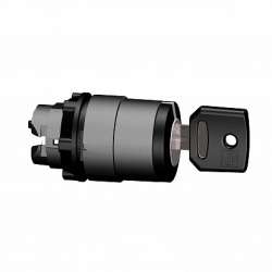 SE Головка переключателя с ключом, 2 поз. ZB5AG0220 арт. ZB5AG0220