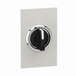 SE Комплект скрытый монтаж,переключатель кнопочный с подсветкой ХВ4 арт. ZB4BZ022