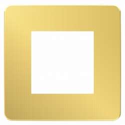 SE Unica Studio Золото/Бежевая Рамка 1-ная арт. NU280260