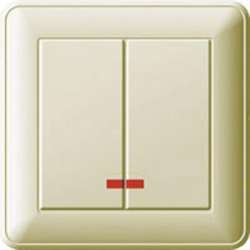 SE Wessen 59 Беж Выключатель 2-клавишный с подсветкой 16А (сх.5) (в сборе, с рамкой) арт. VS516-251-28