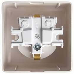 SE Wessen ХИТ наруж Бел Розетка с/з со шторками, 16А, 250 арт. RA16-138-B