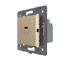Розетка USB type C с блоком питания 45W Livolo, цвет золотой (механизм)