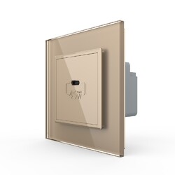 Розетка USB type C с блоком питания 45W Livolo 1 пост Золотая