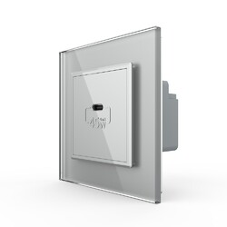Розетка USB type C с блоком питания 45W Livolo 1 пост Серая