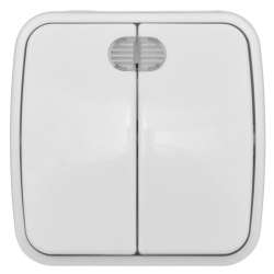 Минск Выключатель 2-клавишный ОП 10А с индикатором белый EKF Basic