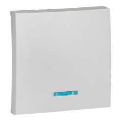 Валенсия лицевая панель выключателя 1-кл. с индикатором 10А сталь EKF PROxima