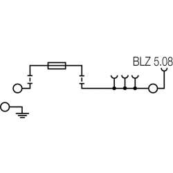 Weidmuller 1162840000 WMF 2.5 FU BLZ PE 30-70V SW Исполнение: W-серия, Клемма с предохранителем, Клеммы PE, Расчетное сечение: 2.5 мм.кв, Винтовое соединение