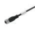 Weidmuller 9457730200 SAIL-M12BG-4-2.0U Исполнение: Концентратор сигналов, контрольная линия, Один конец без разъема, M12, Number of poles : 4, 2 m, Гнездо, прямое, Экранированный: Нет, Светодиод: Нет, Материал оболочки: Полиуретан, Галогены: Нет